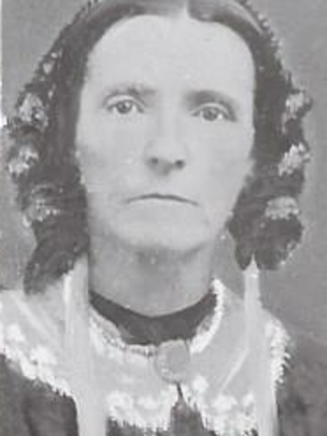 Louisa Hoitt (1820 - 1903) Profile